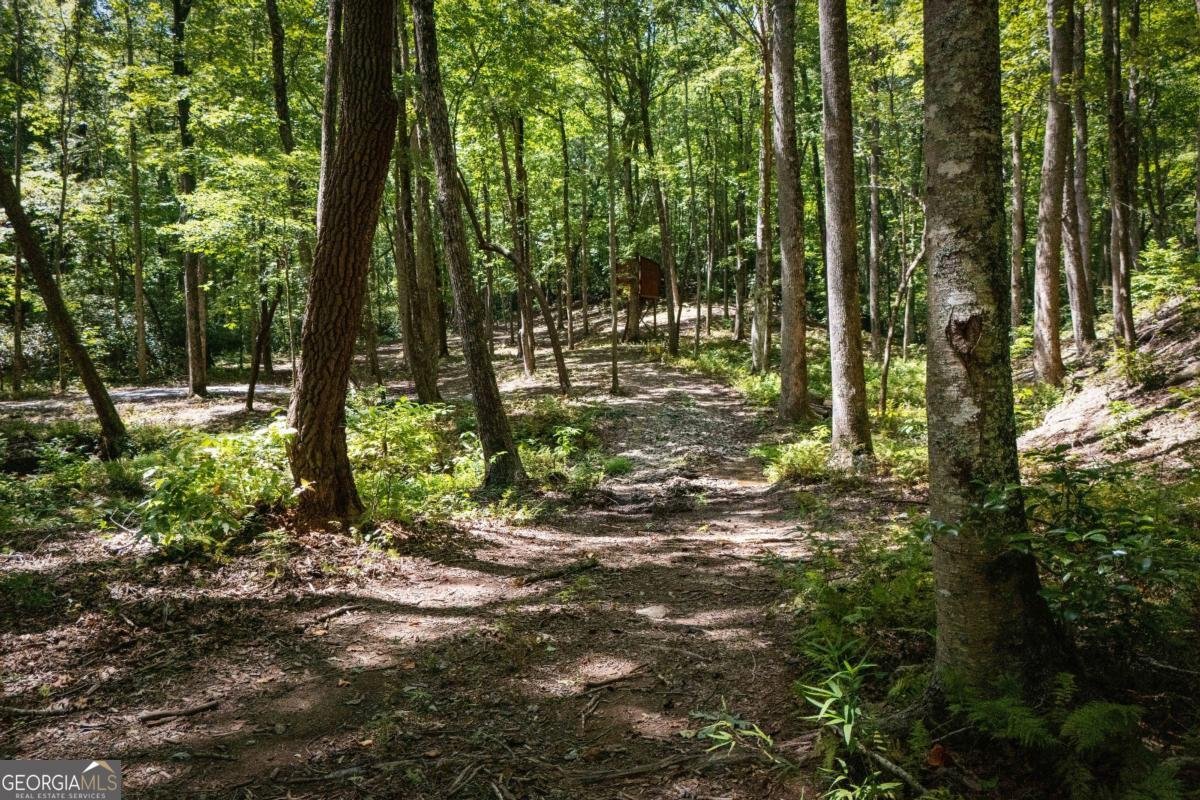 430 Sassafras Mountain Laurel Lane Jasper - Photo 86