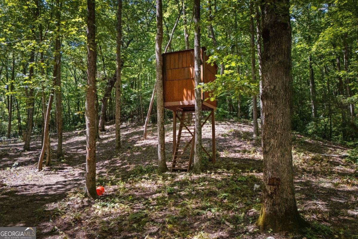 430 Sassafras Mountain Laurel Lane Jasper - Photo 87