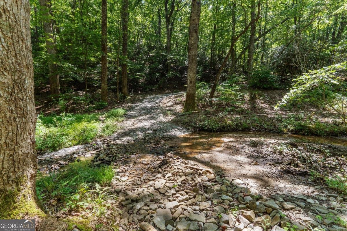 430 Sassafras Mountain Laurel Lane Jasper - Photo 88