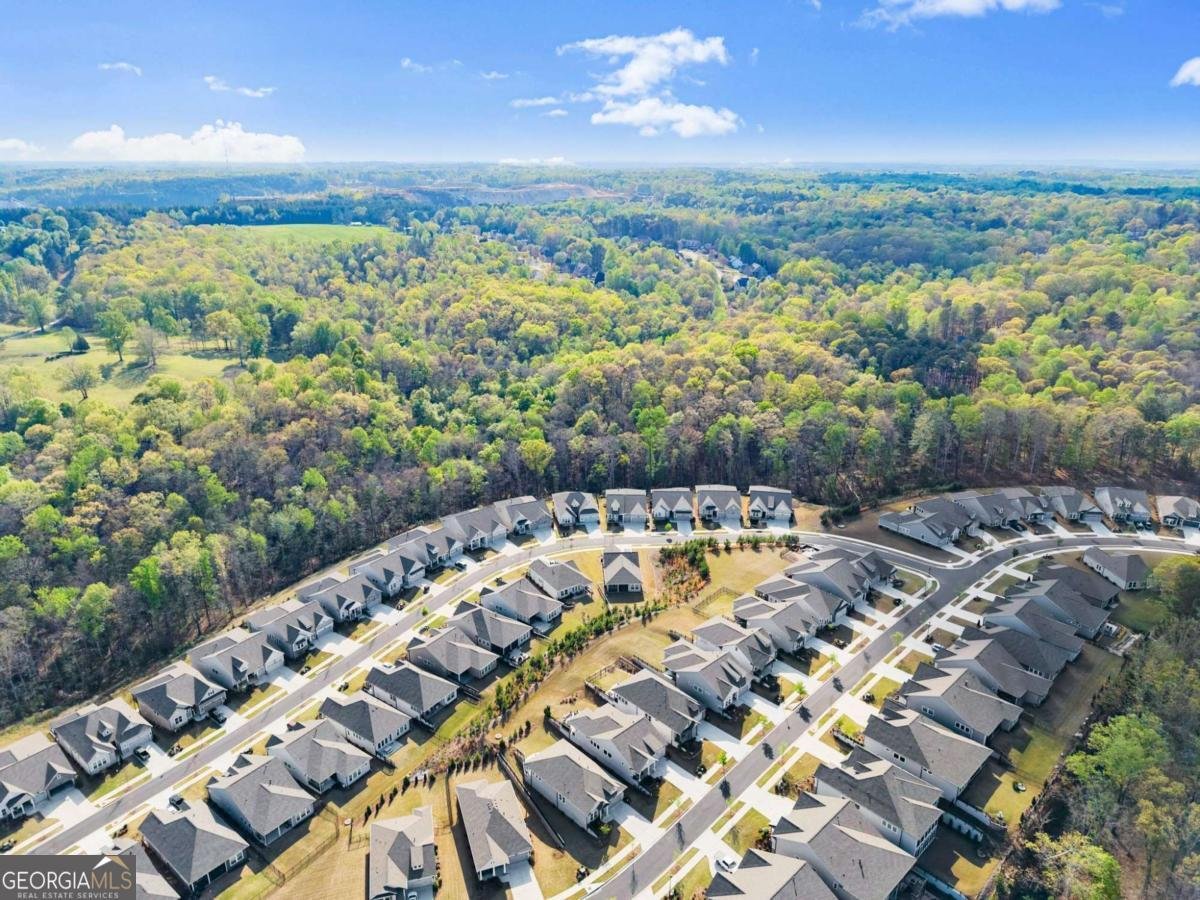 6838 Welcome Road Flowery Branch - Photo 36