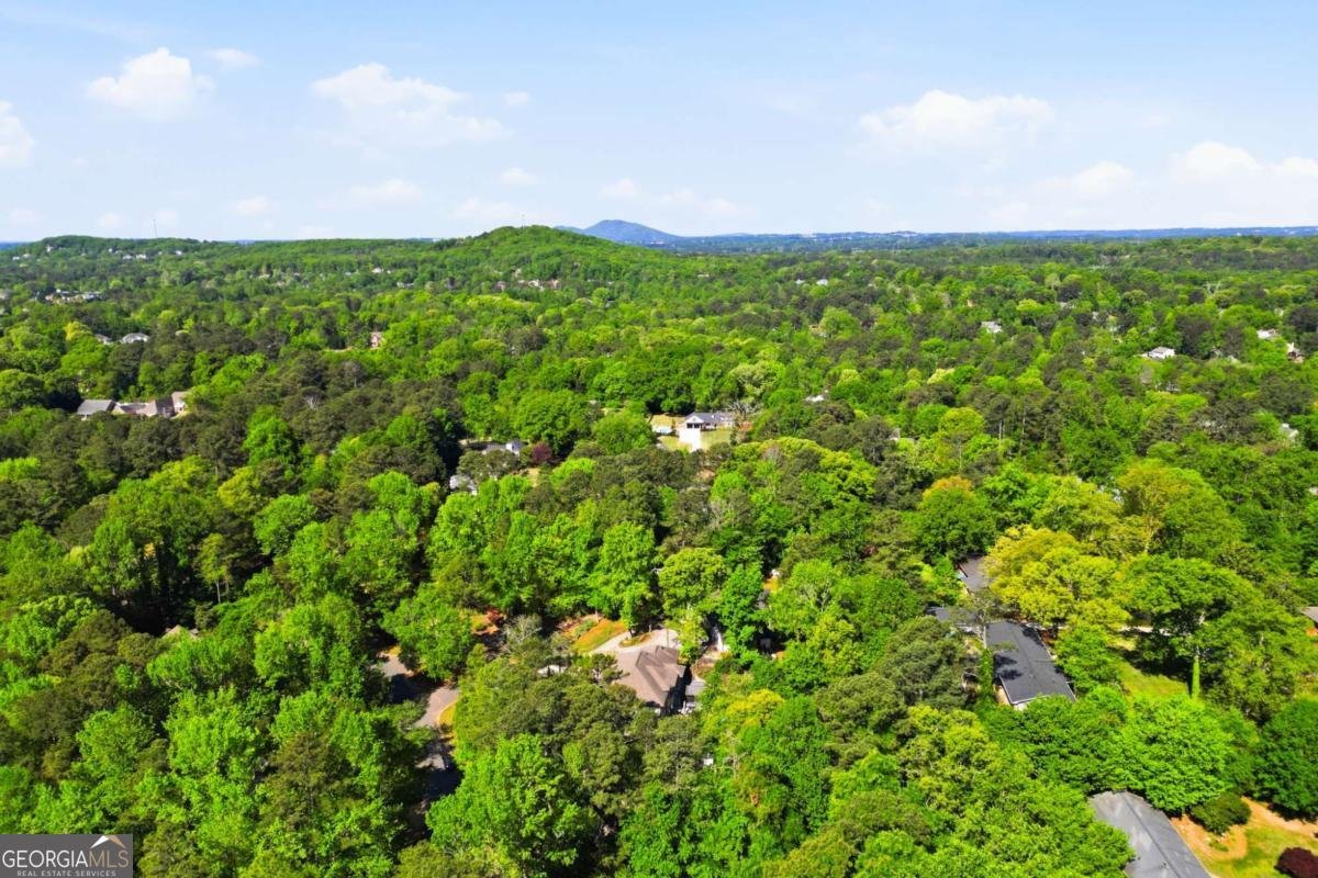 2645 Indian Lake Drive Marietta - Photo 29