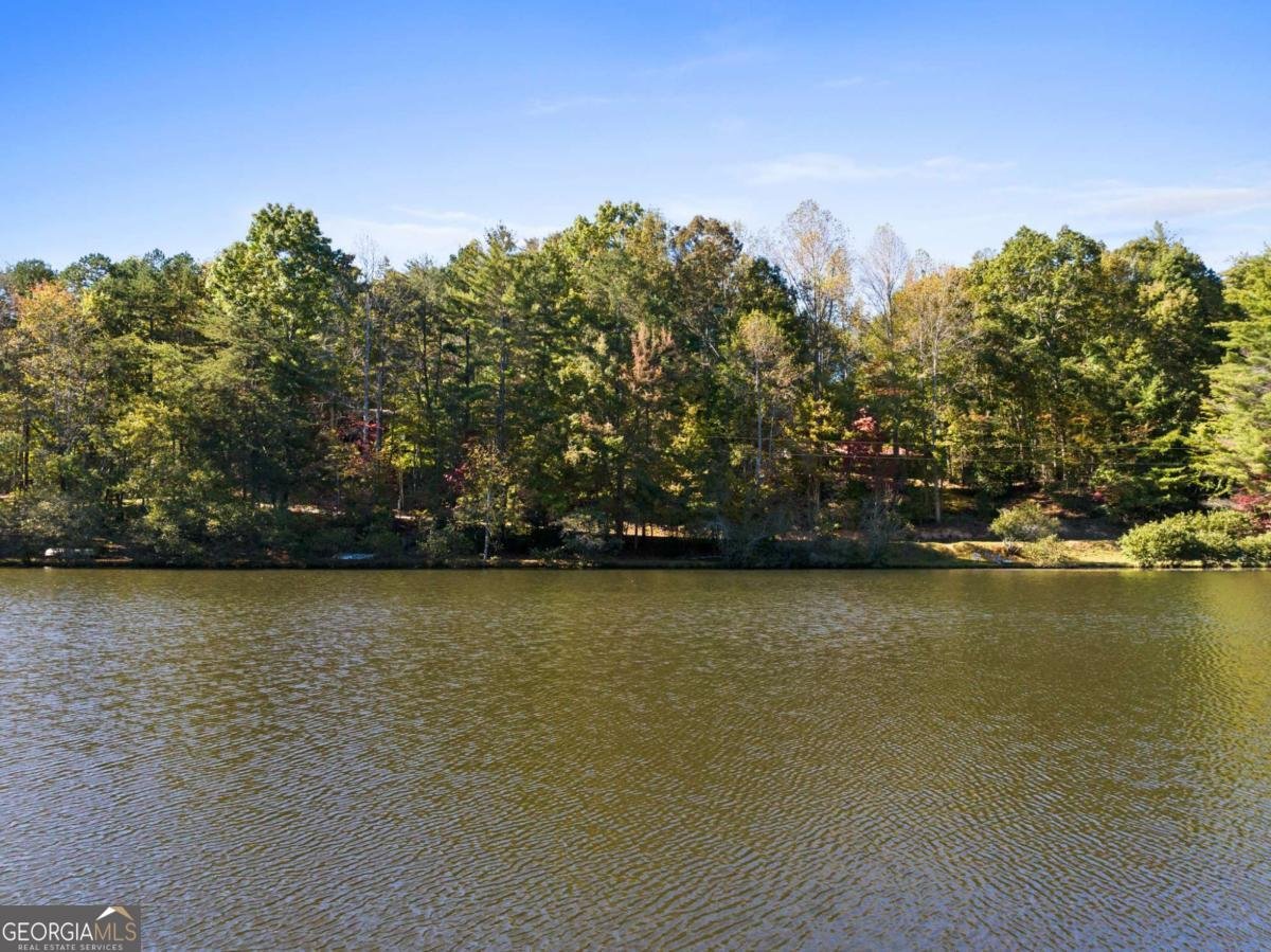 454 High Country Drive Morganton - Photo 11