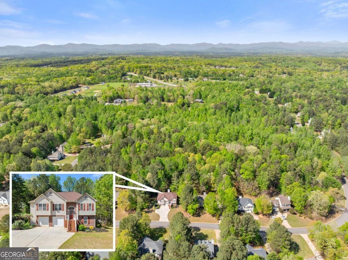 422 Greenwood Park Way Dawsonville - Photo 50