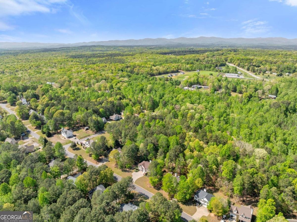 422 Greenwood Park Way Dawsonville - Photo 51