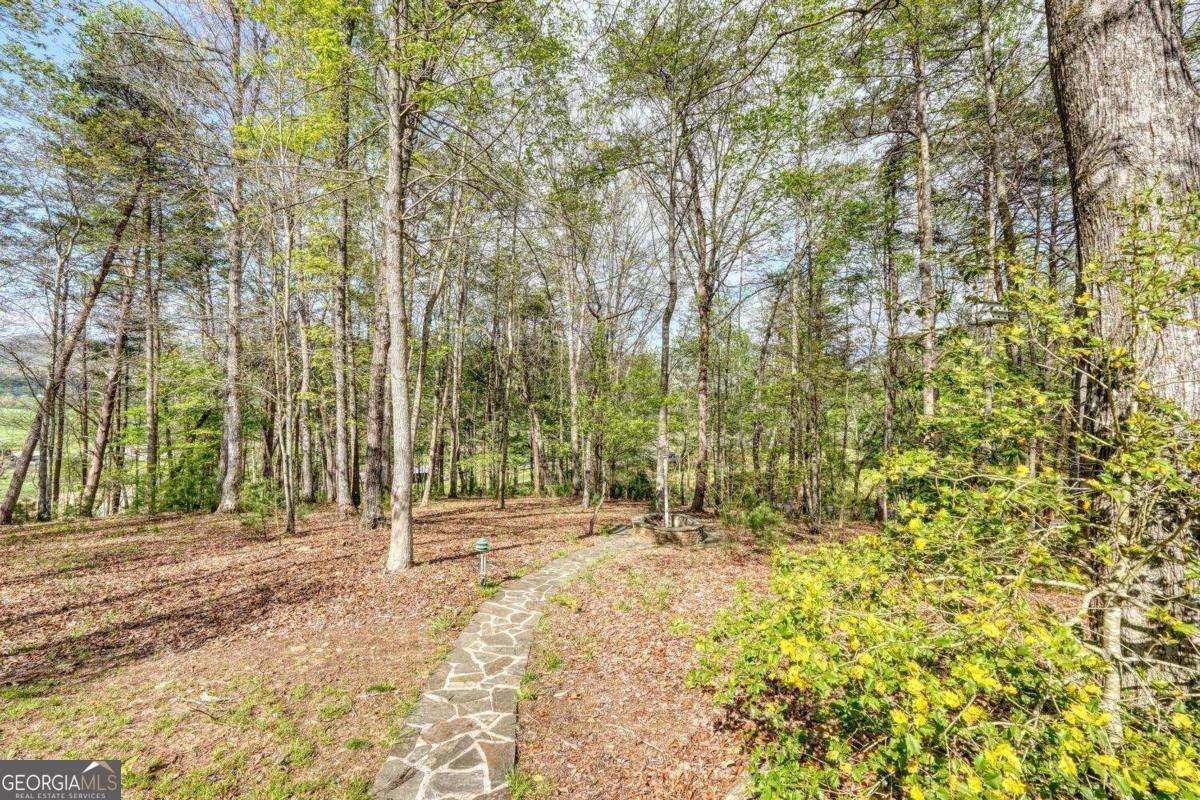 74 Timber Lane Blairsville - Photo 44