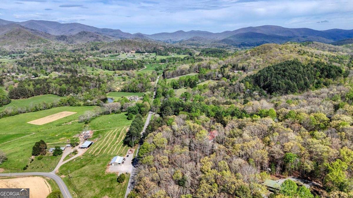 74 Timber Lane Blairsville - Photo 46