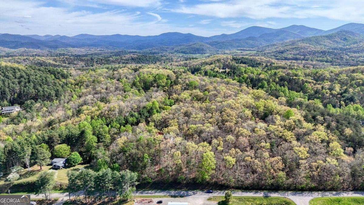 74 Timber Lane Blairsville - Photo 48