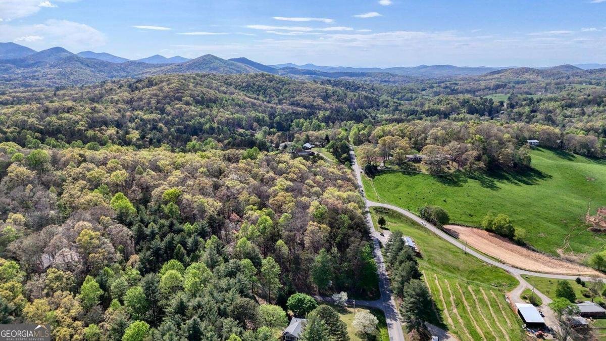 74 Timber Lane Blairsville - Photo 49