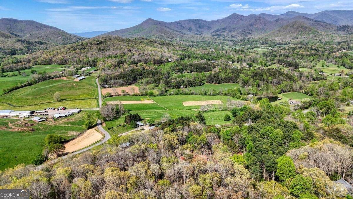 74 Timber Lane Blairsville - Photo 50