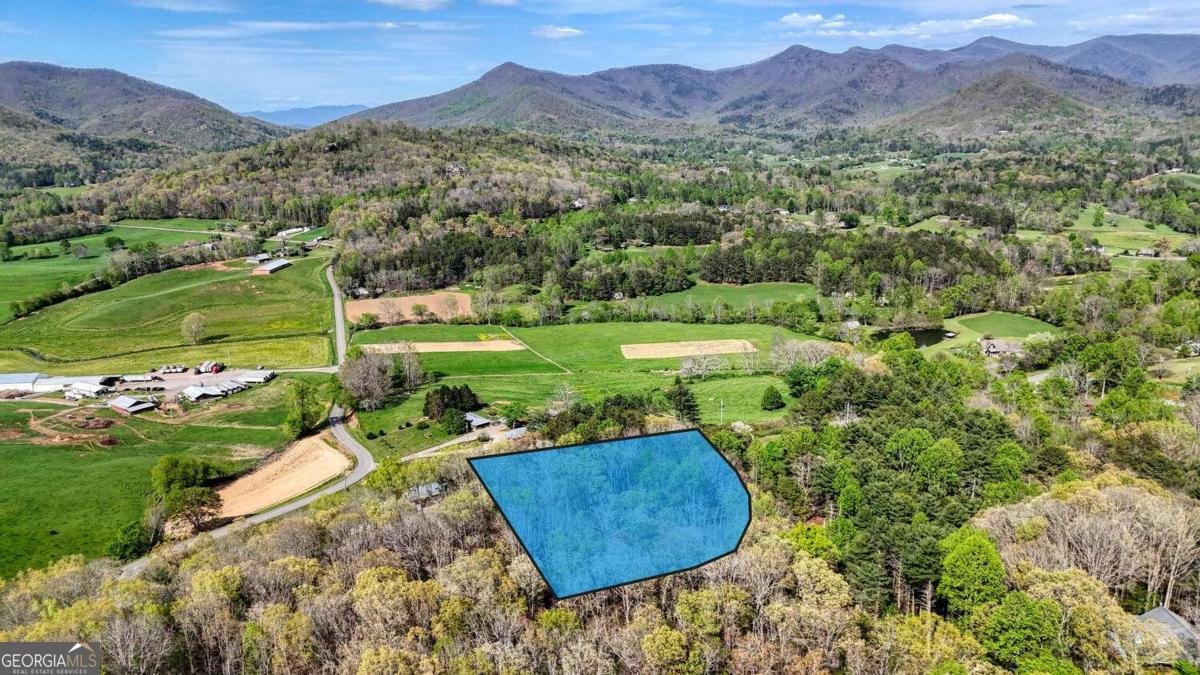 74 Timber Lane Blairsville - Photo 51