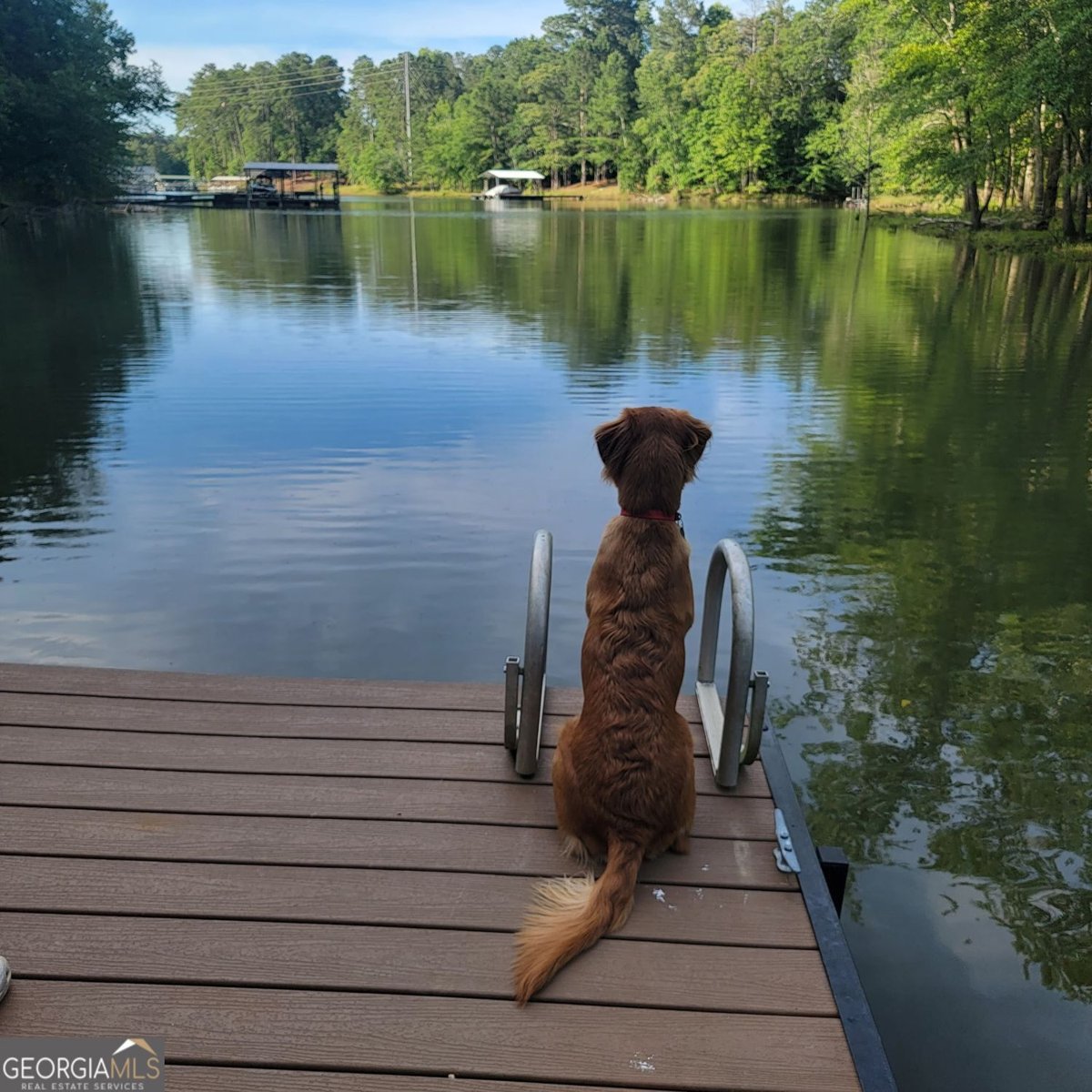 486 Winding Way Hartwell - Photo 52