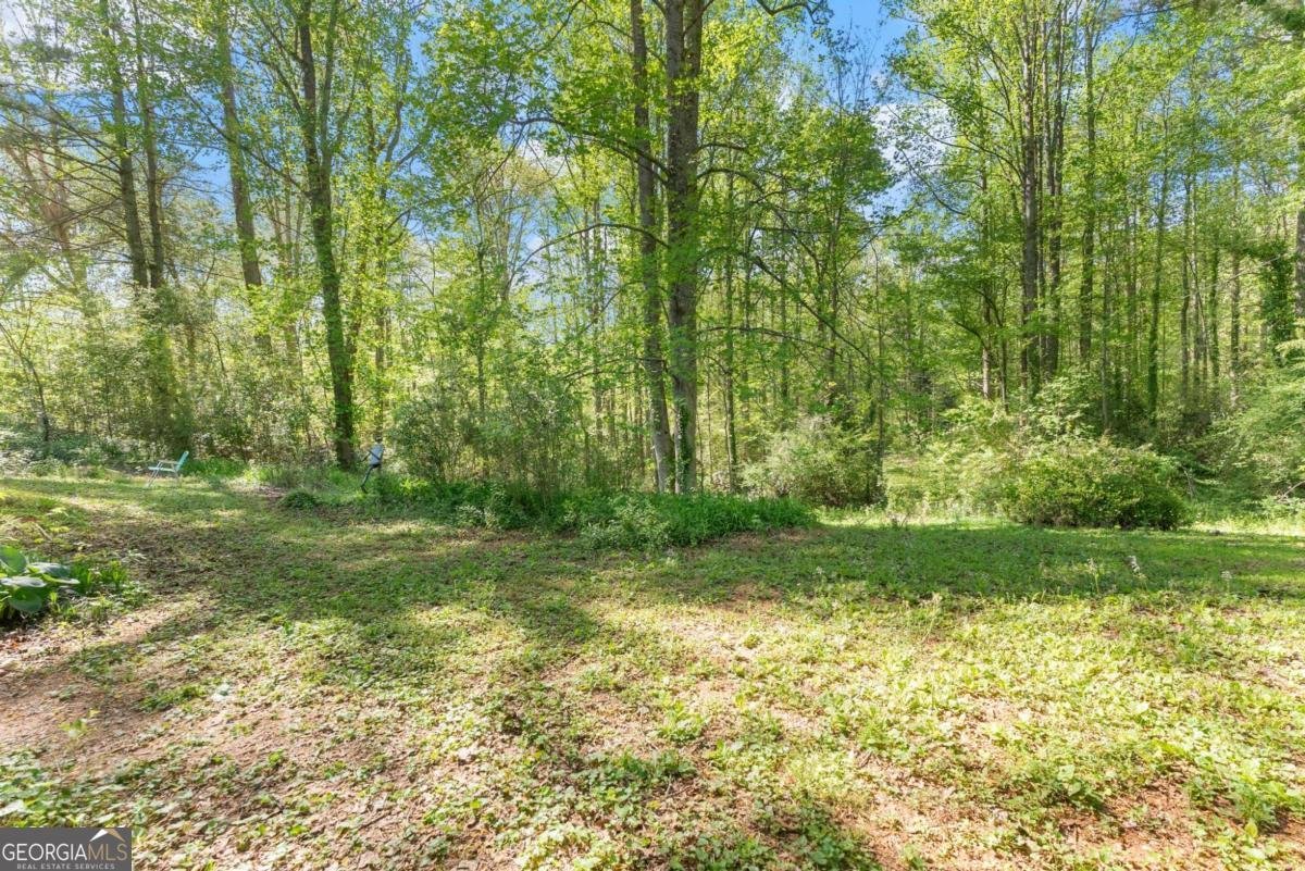 70 Cane Creek Valley Road Dahlonega - Photo 39