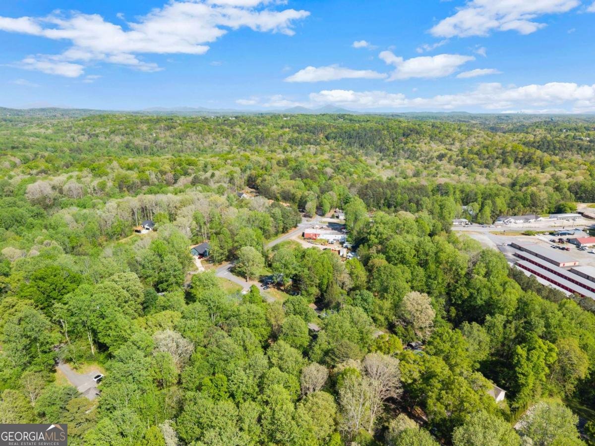 70 Cane Creek Valley Road Dahlonega - Photo 44