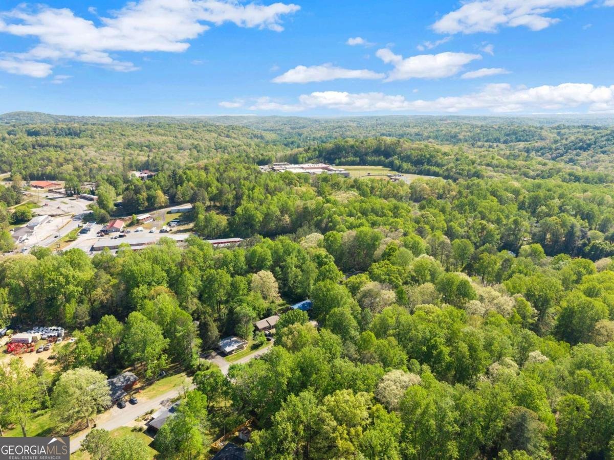 70 Cane Creek Valley Road Dahlonega - Photo 45