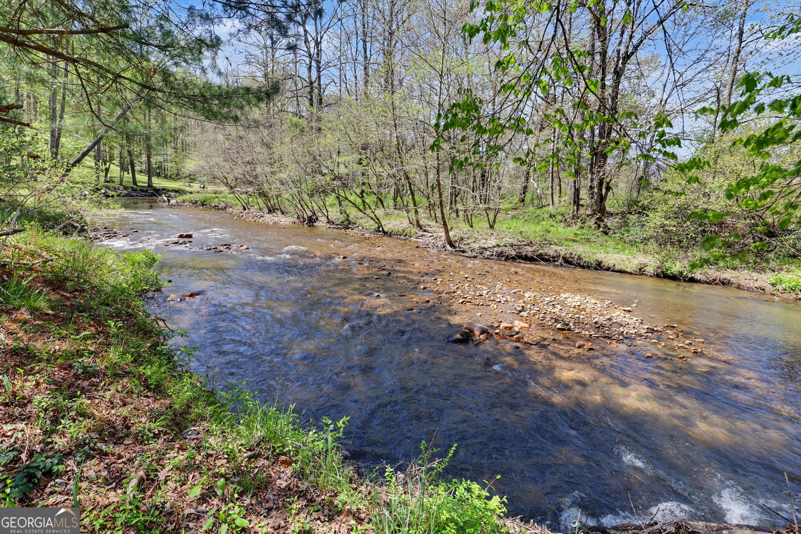 1067 O V Justus Road Rabun Gap - Photo 6