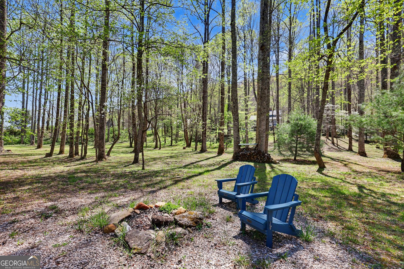 1067 O V Justus Road Rabun Gap - Photo 66