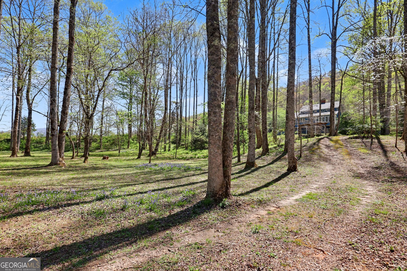 1067 O V Justus Road Rabun Gap - Photo 67