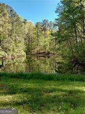 1840 Henry Scott Road Ball Ground - Photo 18