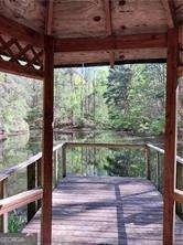 1840 Henry Scott Road Ball Ground - Photo 19