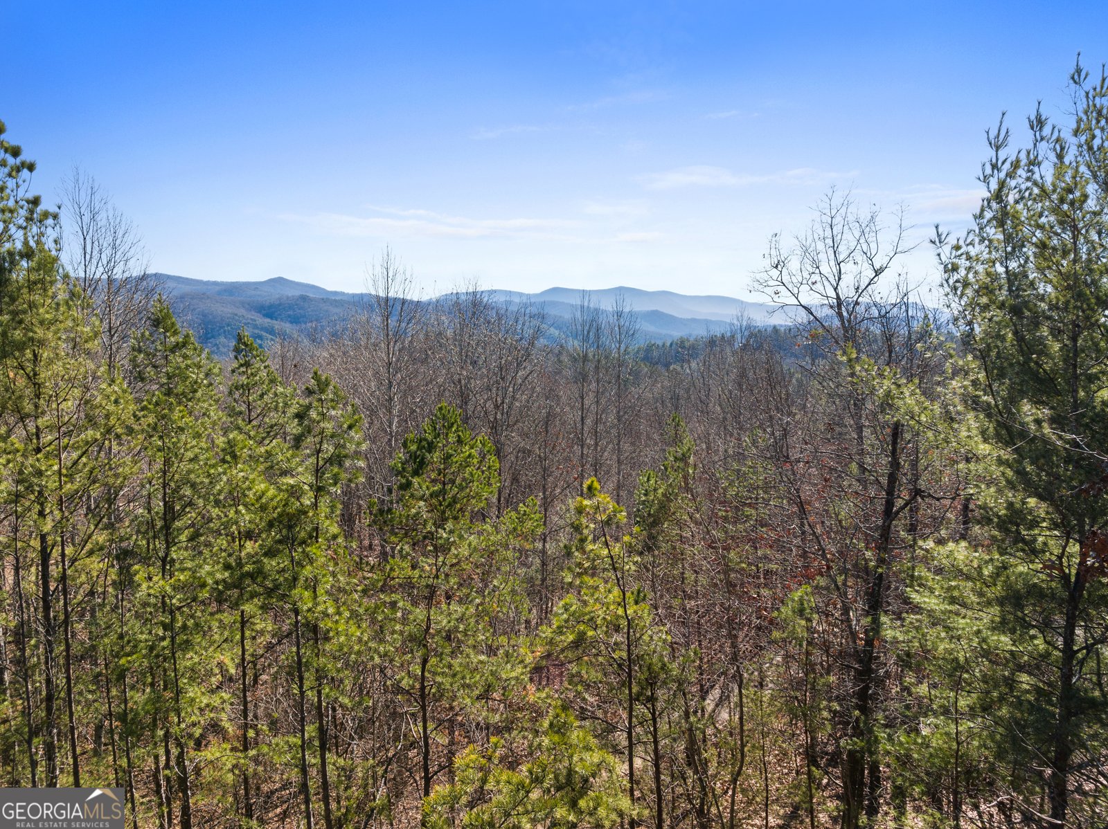 572 Left Turn Blue Ridge - Photo 53