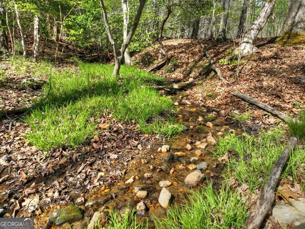 185 Locust Lane Morganton - Photo 10