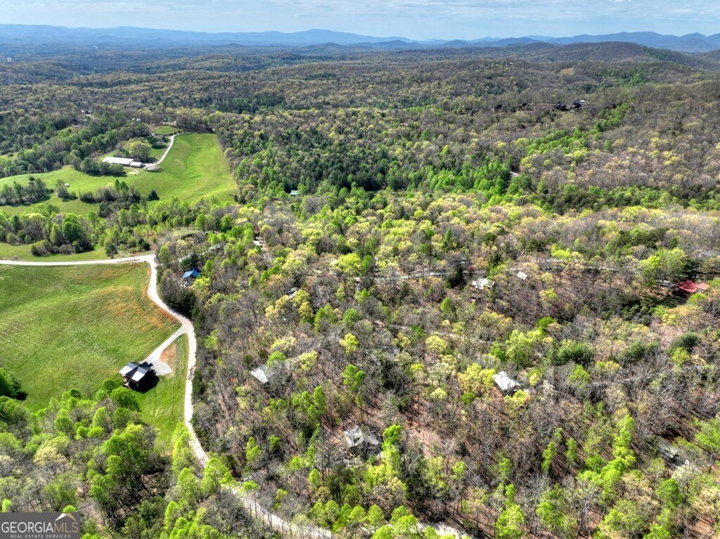 185 Locust Lane Morganton - Photo 6