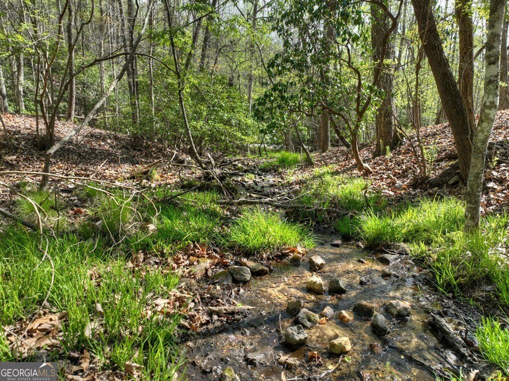 185 Locust Lane Morganton - Photo 8