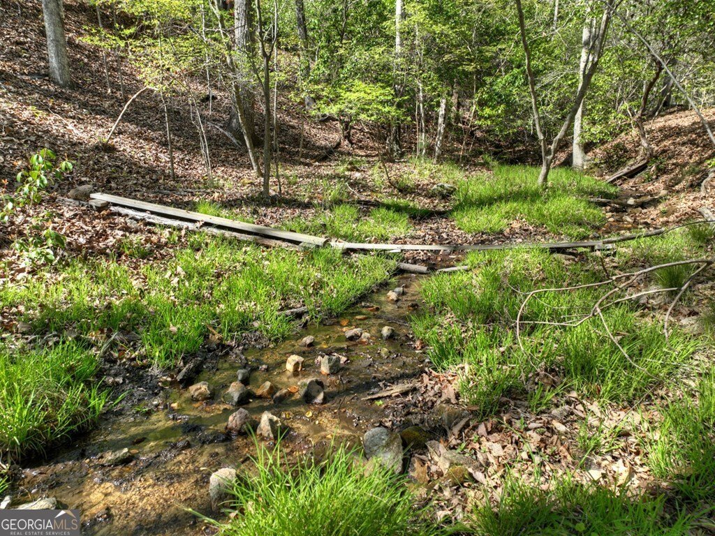 185 Locust Lane Morganton - Photo 9