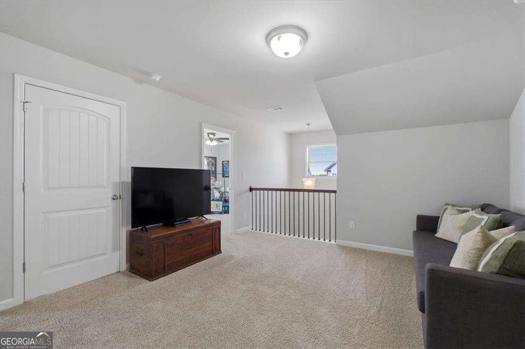 621 Little Bear Loop Canton - Photo 23