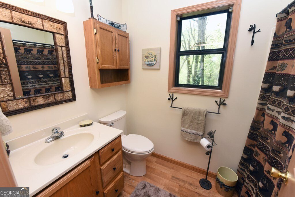 156 Flat Rock Spur Blairsville - Photo 14