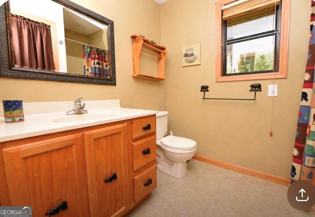 156 Flat Rock Spur Blairsville - Photo 19