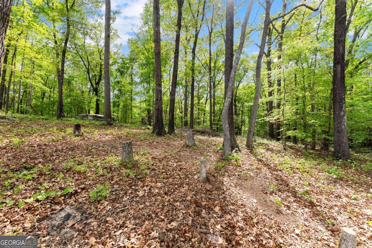 373 Fortress Way Jefferson - Photo 89