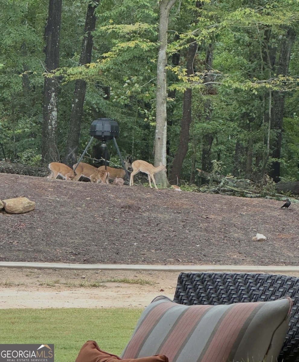 373 Fortress Way Jefferson - Photo 90