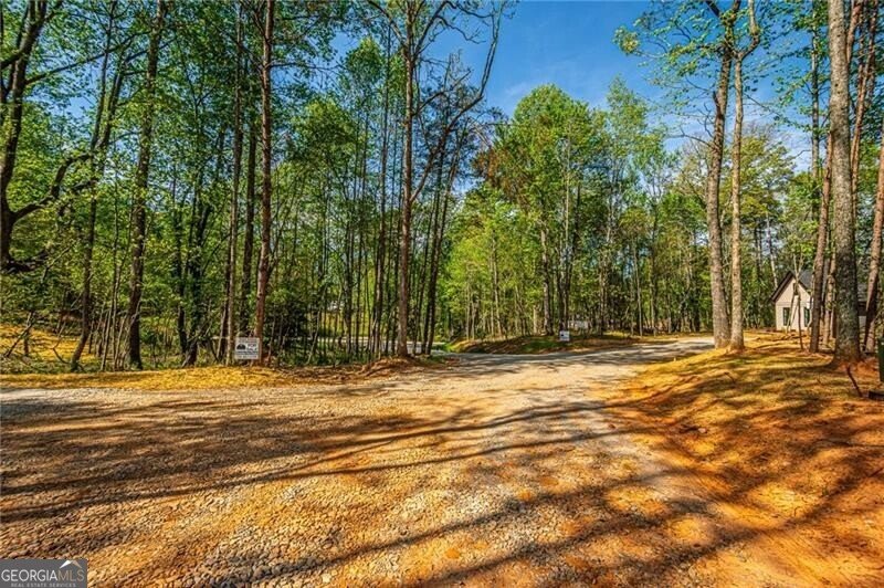 15 Eloise Way Dawsonville - Photo 6