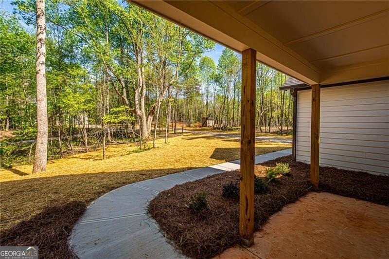 20 Eloise Way Dawsonville - Photo 46