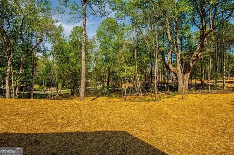 20 Eloise Way Dawsonville - Photo 48