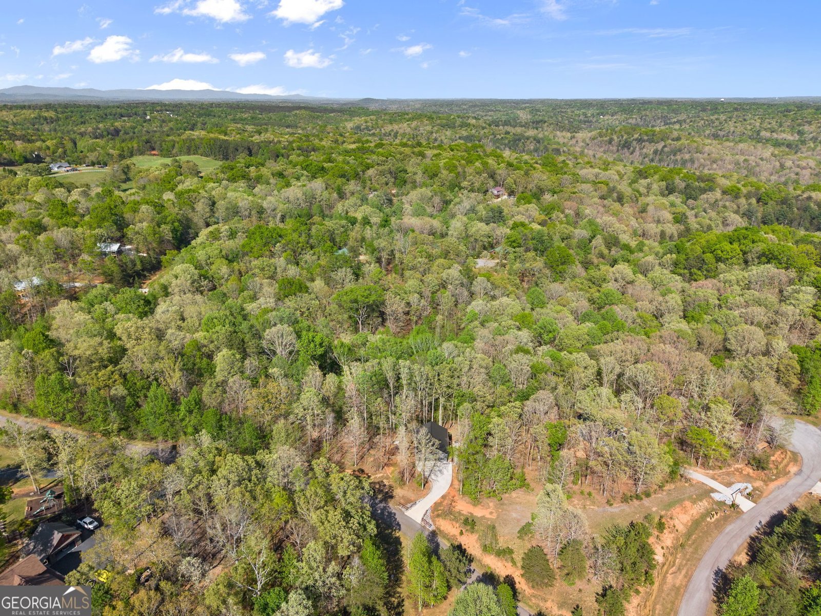 162 Hickory Ridge Drive Cleveland - Photo 20