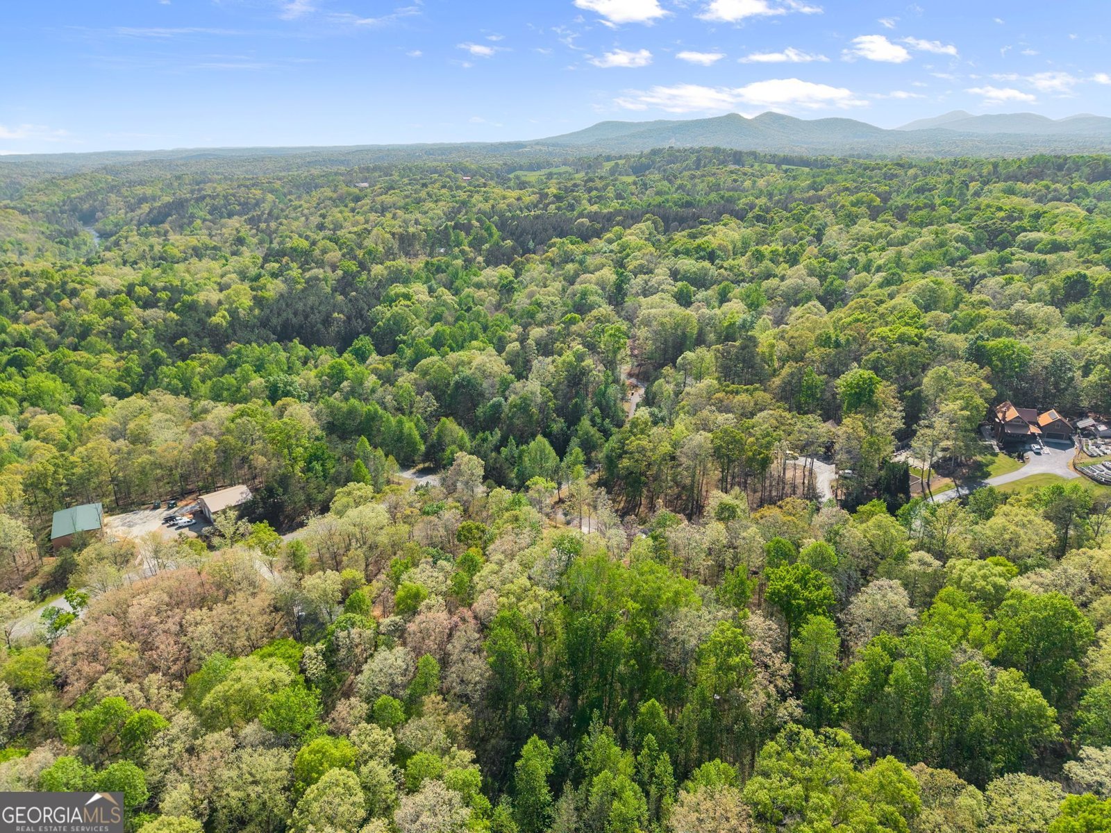 162 Hickory Ridge Drive Cleveland - Photo 45