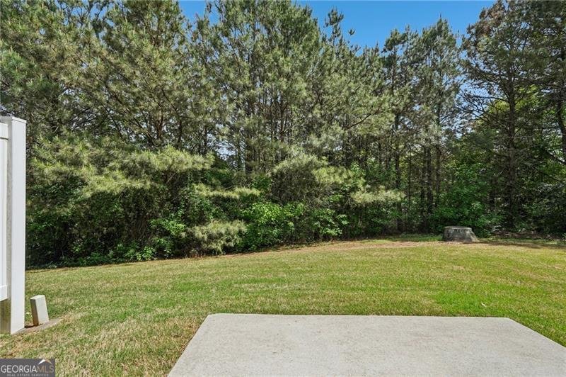 5710 Vinyard Lane Cumming - Photo 30