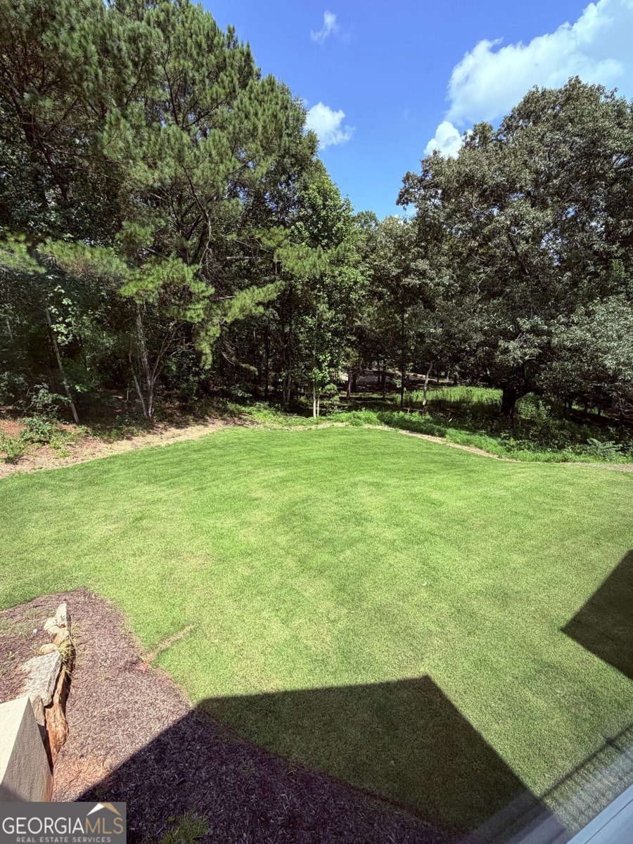 260 Edgewater Trail Toccoa - Photo 42