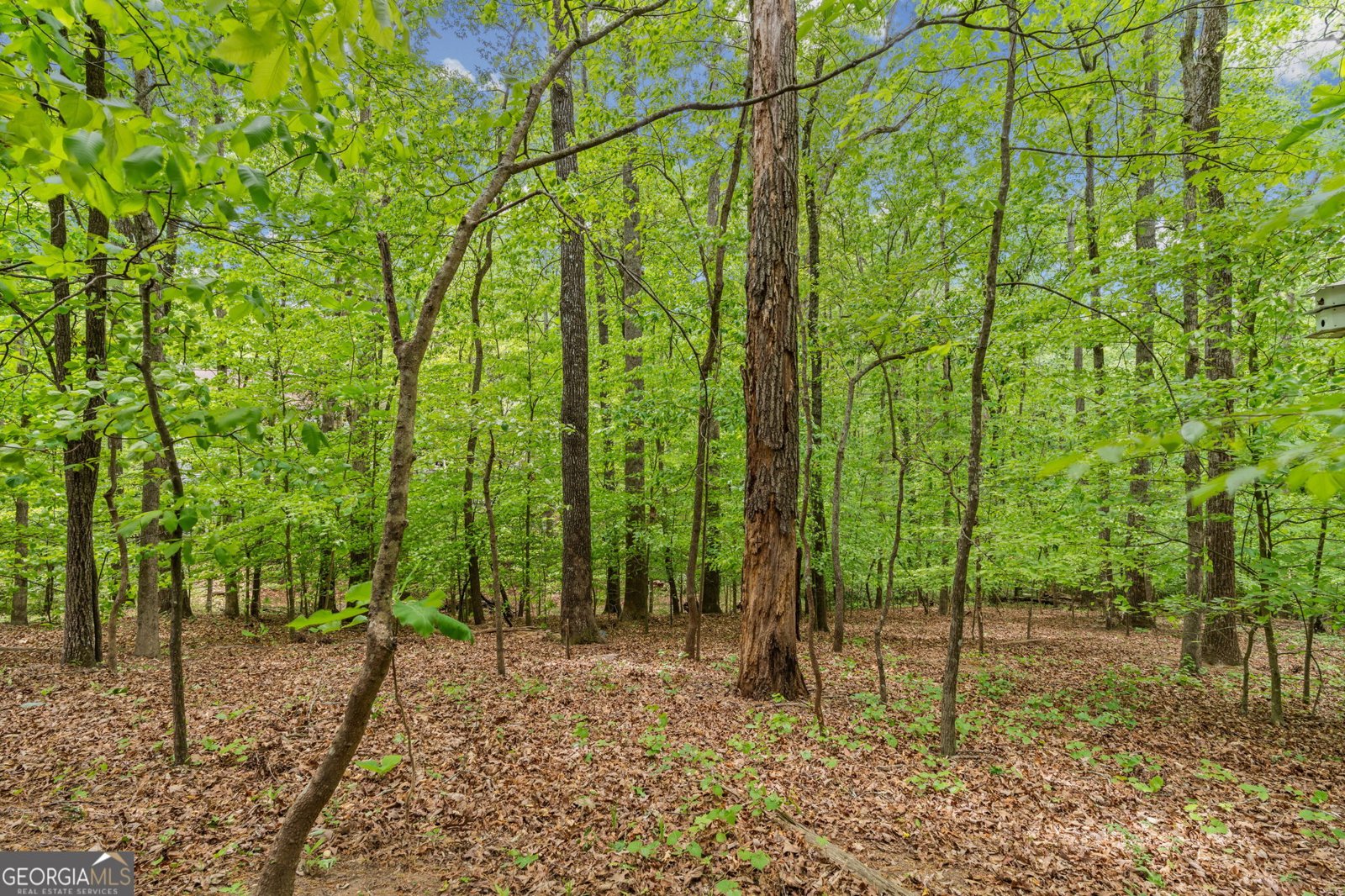 4037 Crossfield Place Marietta - Photo 26