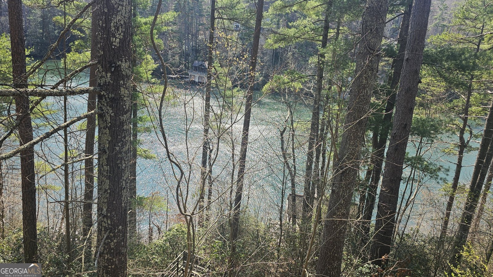 91 Dragway Lane Lakemont - Photo 21