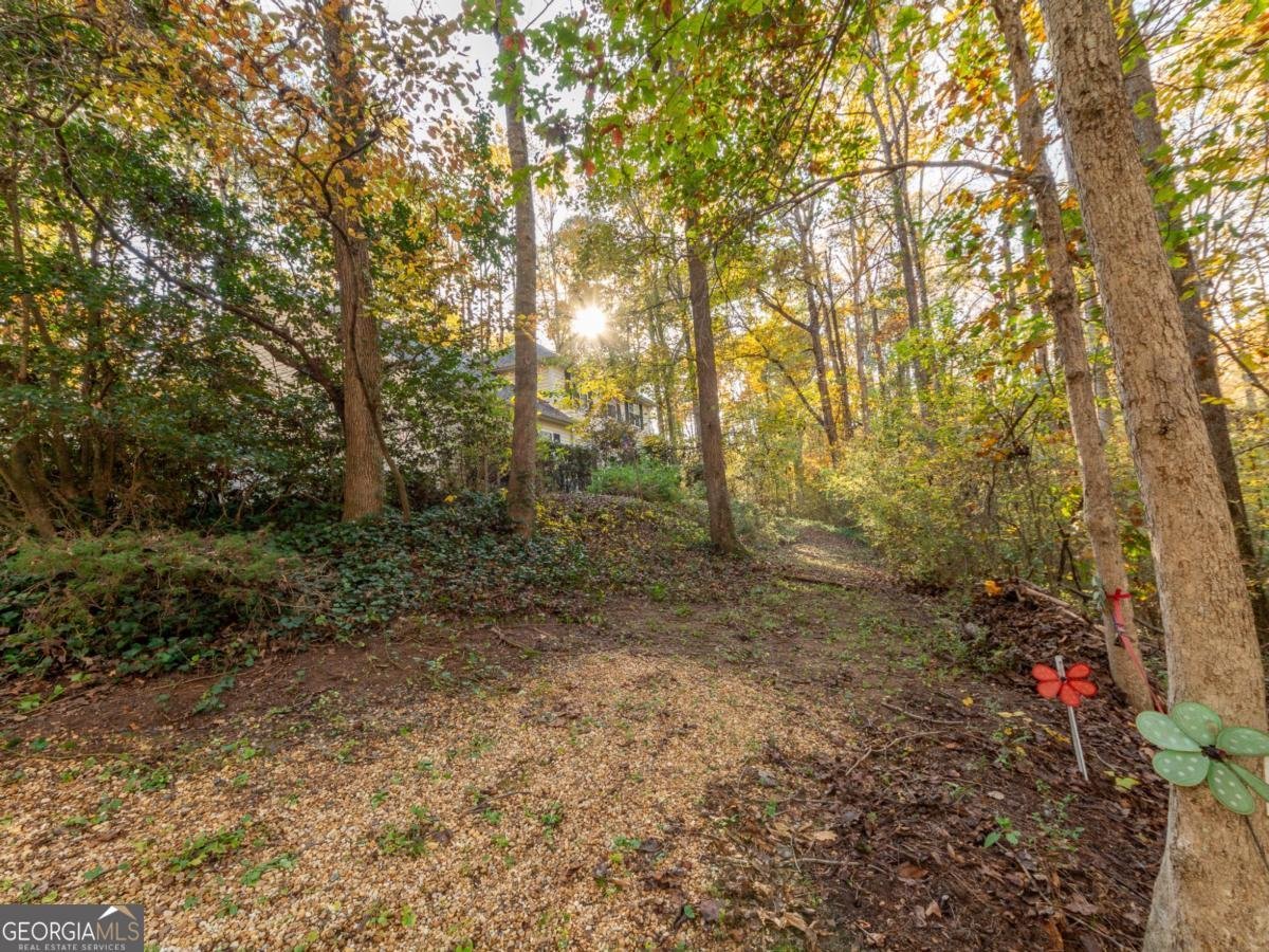 479 Bradshaw Lane Canton - Photo 43