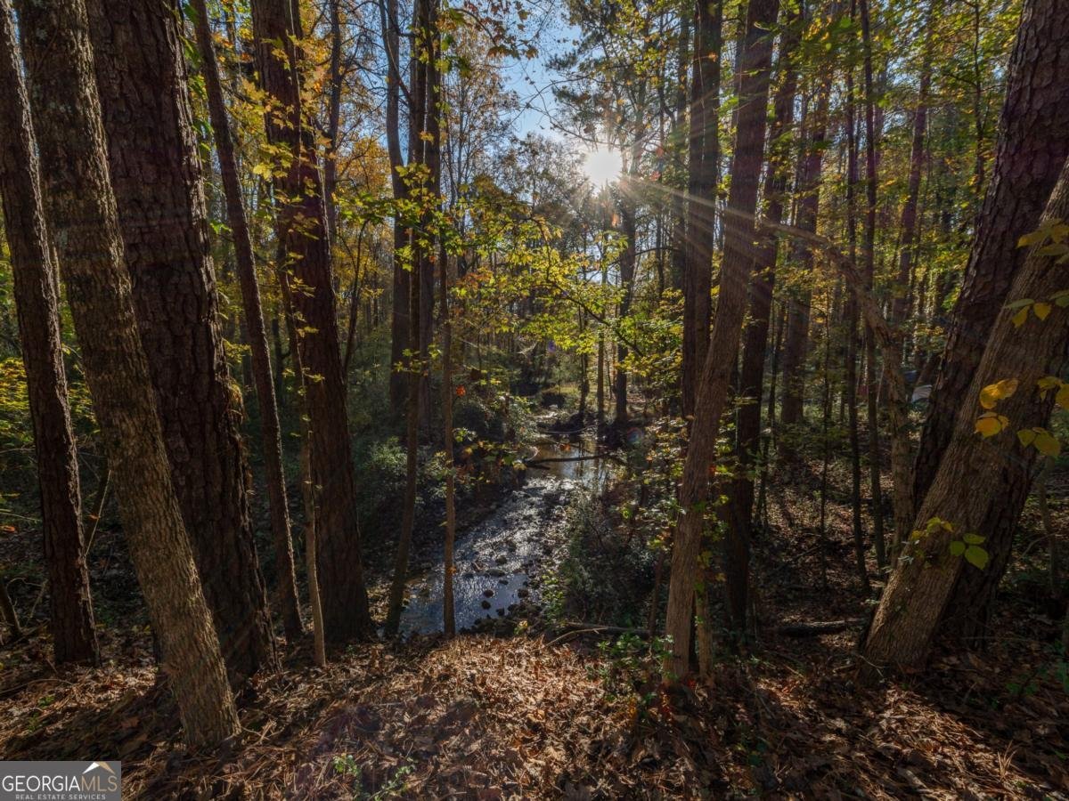 479 Bradshaw Lane Canton - Photo 44