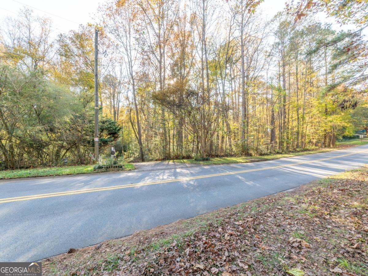 479 Bradshaw Lane Canton - Photo 47