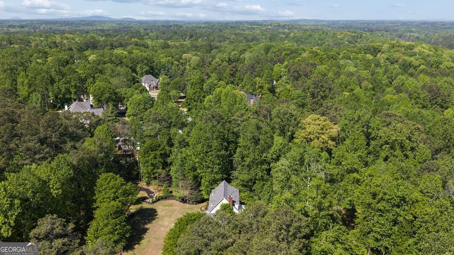 14030 Cogburn Road Milton - Photo 65