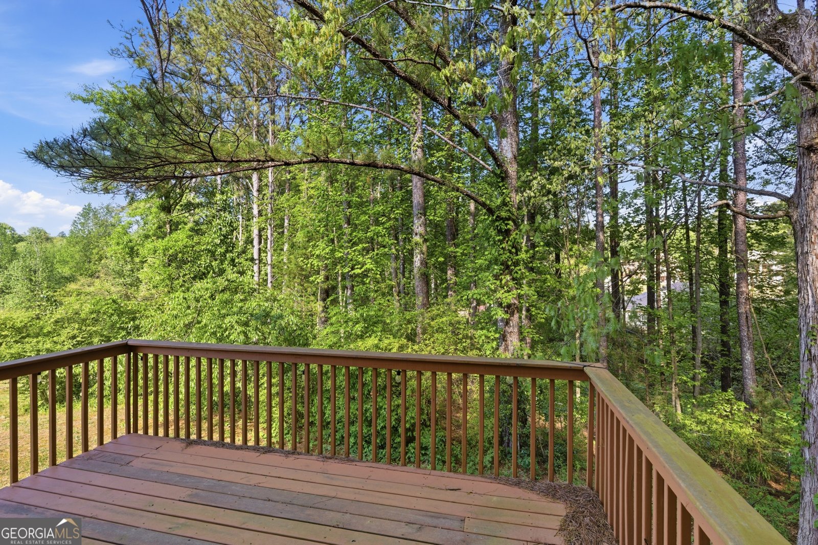 3322 Hunters Hill Drive Lithonia - Photo 47