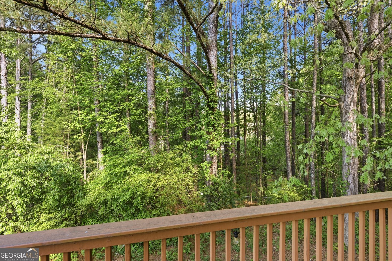 3322 Hunters Hill Drive Lithonia - Photo 48