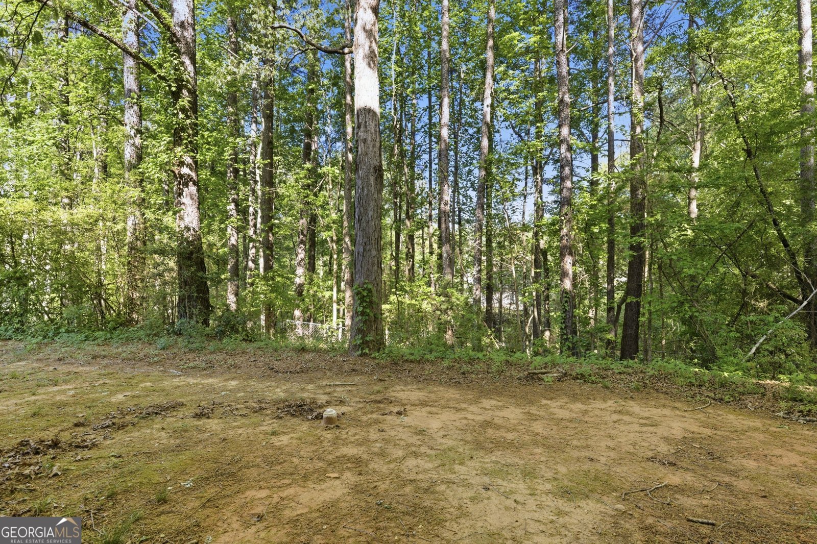 3322 Hunters Hill Drive Lithonia - Photo 49