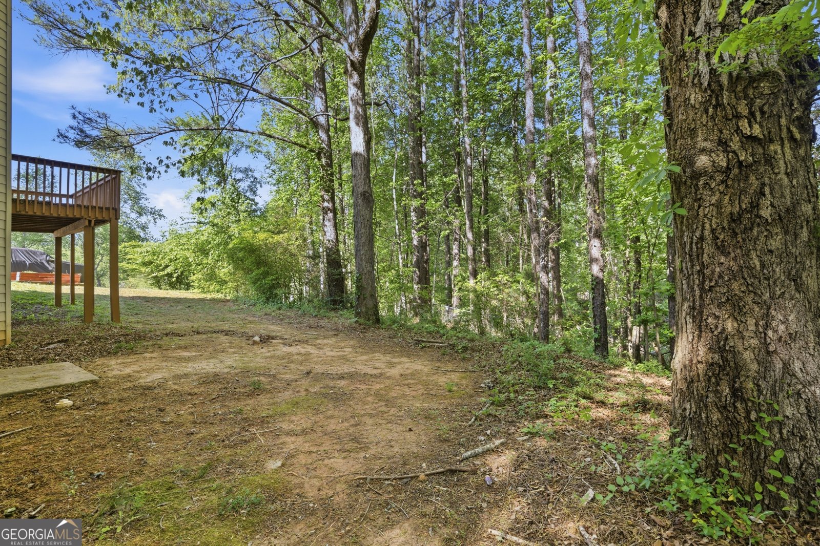 3322 Hunters Hill Drive Lithonia - Photo 50